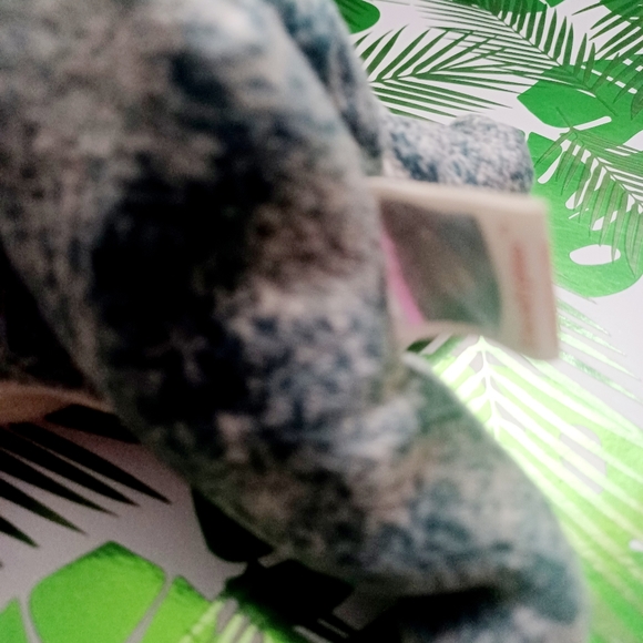 Ty Beanie Baby Blue Gray Eucalyptus Koala Bear Stuffed Animal Toy with Tag - Picture 10 of 10